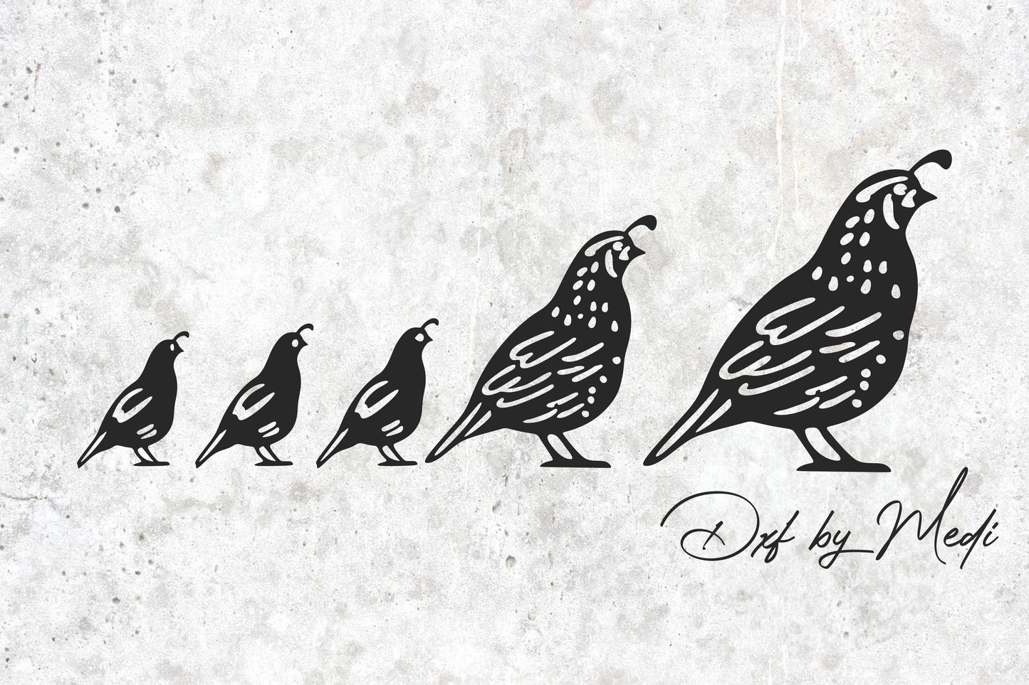 Quail Family Design - Farmhouse SVG, DXF, CDR