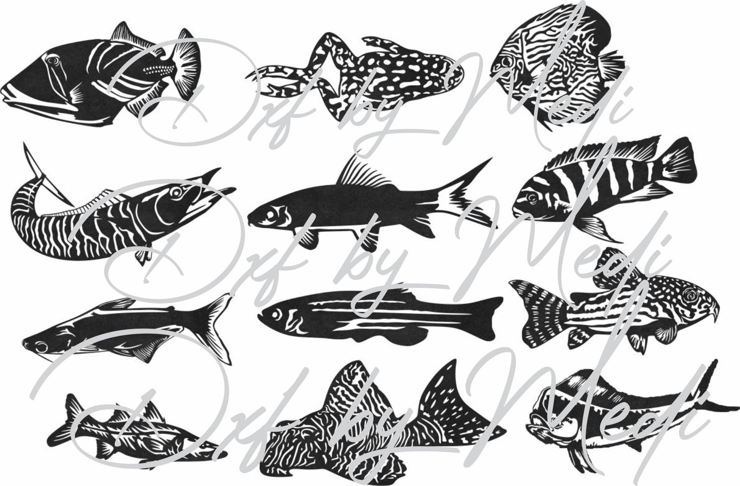 50+ Fish Laser Cut Files – SVG DXF CDR – Saltwater & Freshwater Fish Bundle