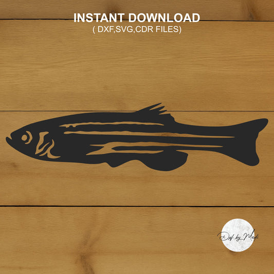 Freshwater shark sign DXF & SVG Files | Ready-to-Cut