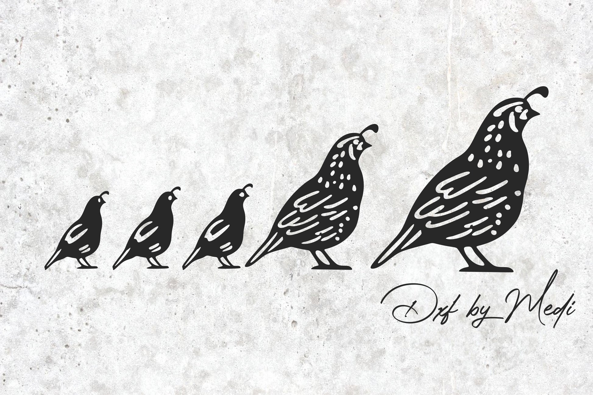 Quail Family Design - Farmhouse SVG, DXF, CDR