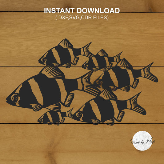Barbs Schooling Fish DXF & SVG Files | Ready-to-Cut