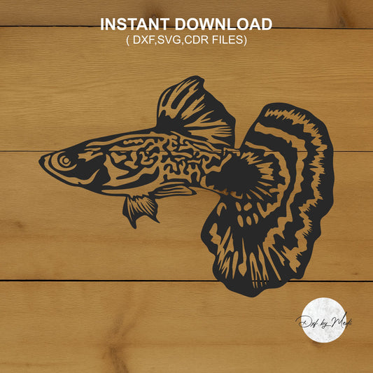 Betta Fish DXF & SVG Files | Ready-to-Cut