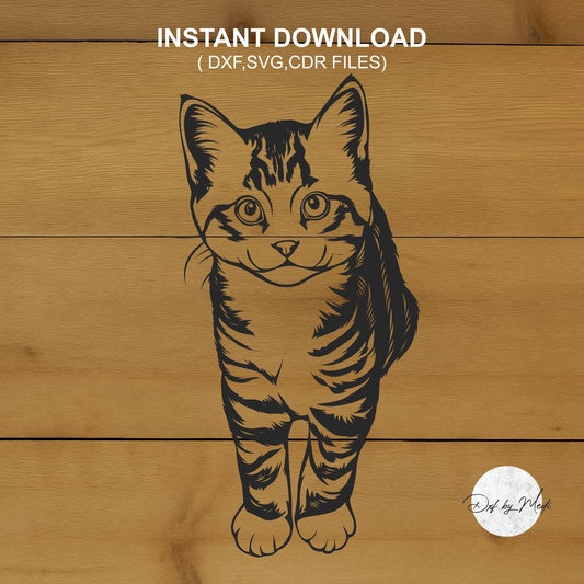 Cat Design | DXF SVG Files for Cnc & Laser Cutting | Instant Download Crafting and DIY Projects