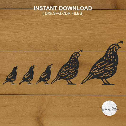 Quail Family Design - Farmhouse SVG, DXF, CDR