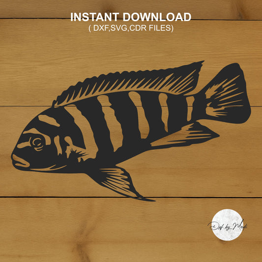 Cichlid Fish DXF & SVG Files | Ready-to-Cut