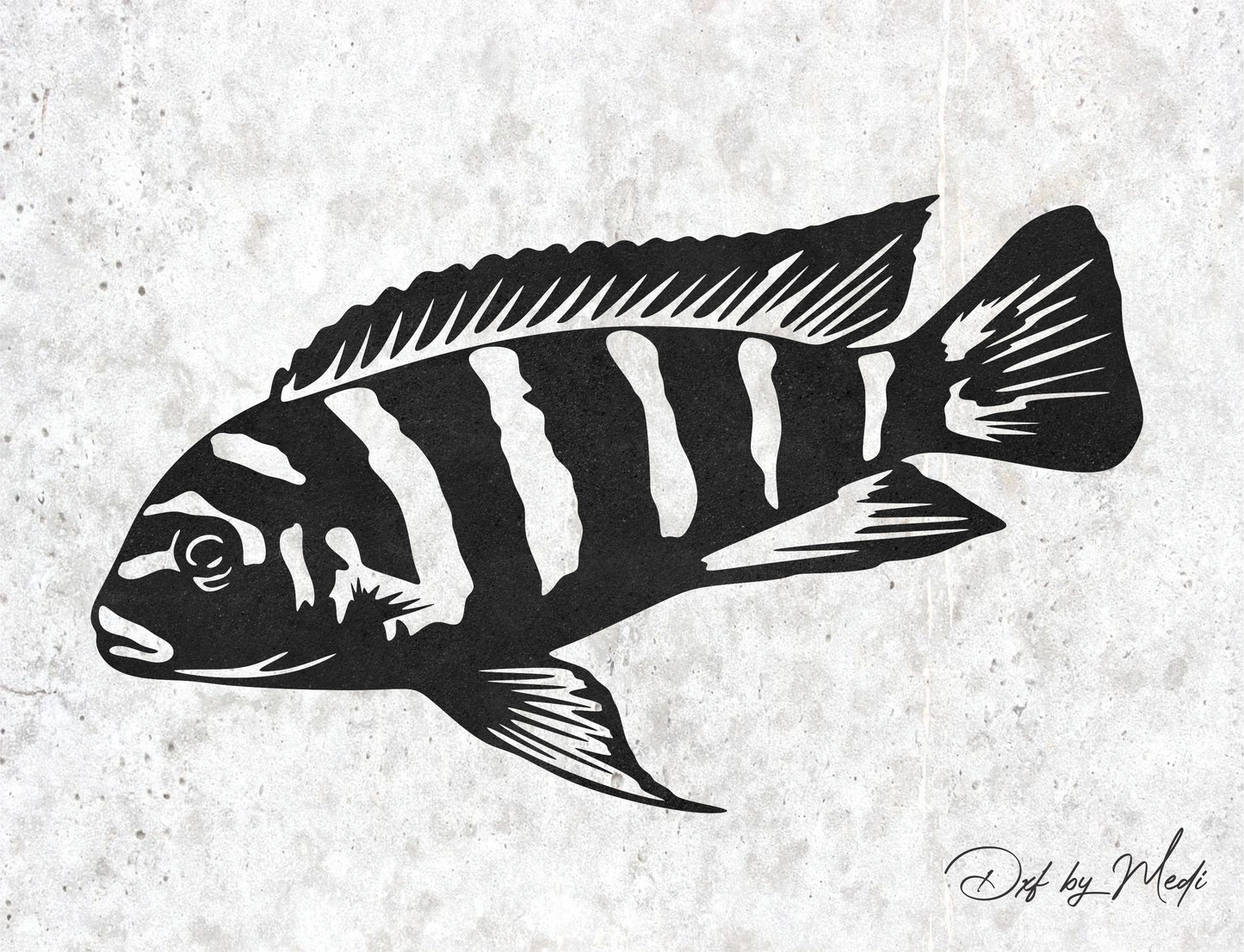 Cichlid Fish DXF & SVG Files | Ready-to-Cut