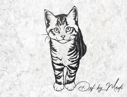 Cat Design | DXF SVG Files for Cnc & Laser Cutting | Instant Download Crafting and DIY Projects