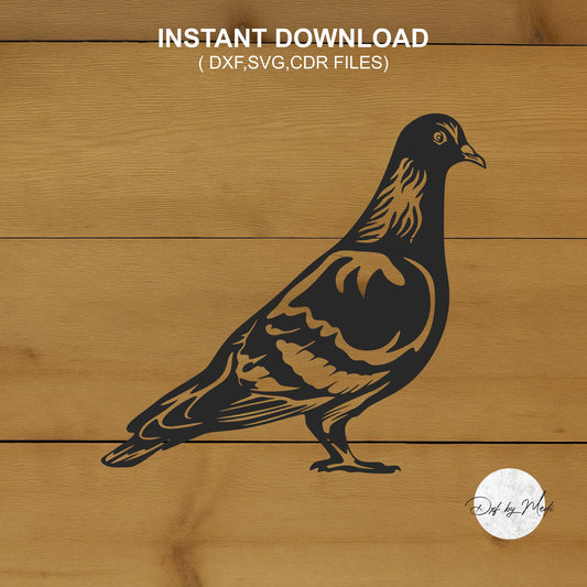 pigeon bird - DXF SVG files for Plasma Cnc Laser Waterjet Ready to cut clipart file